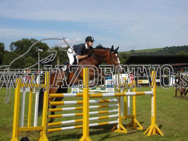 ZLATA PODKOVA XXV. STROPKOV