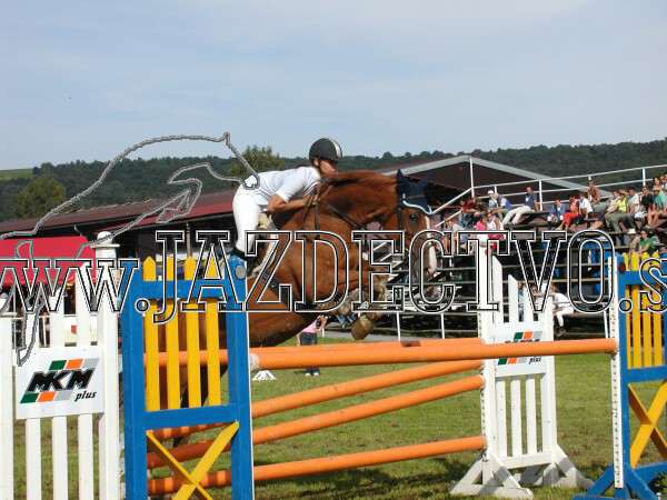 ZLATA PODKOVA XXV. STROPKOV