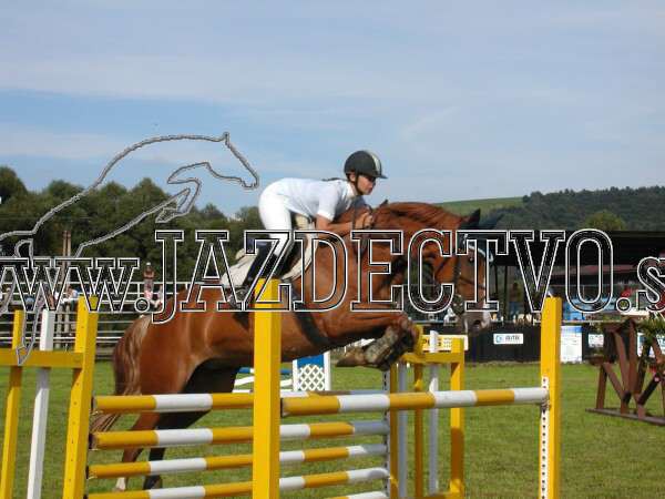 ZLATA PODKOVA XXV. STROPKOV