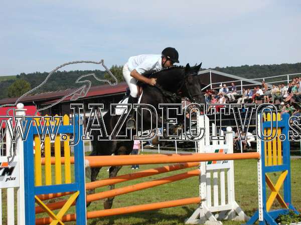 ZLATA PODKOVA XXV. STROPKOV