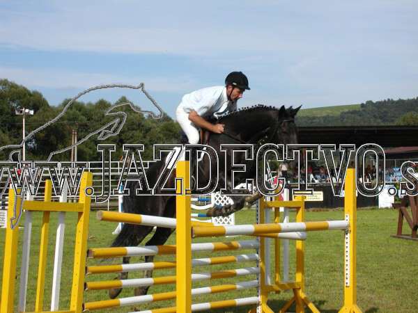 ZLATA PODKOVA XXV. STROPKOV