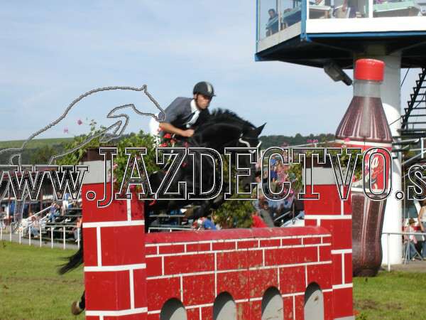 ZLATA PODKOVA XXV. STROPKOV