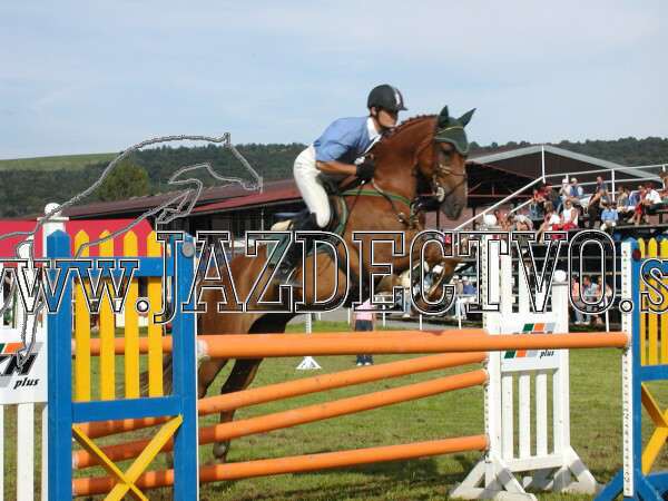 ZLATA PODKOVA XXV. STROPKOV