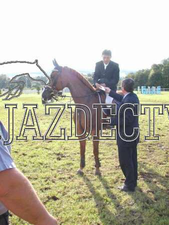 ZLATA PODKOVA XXV. STROPKOV