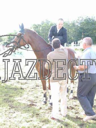 ZLATA PODKOVA XXV. STROPKOV