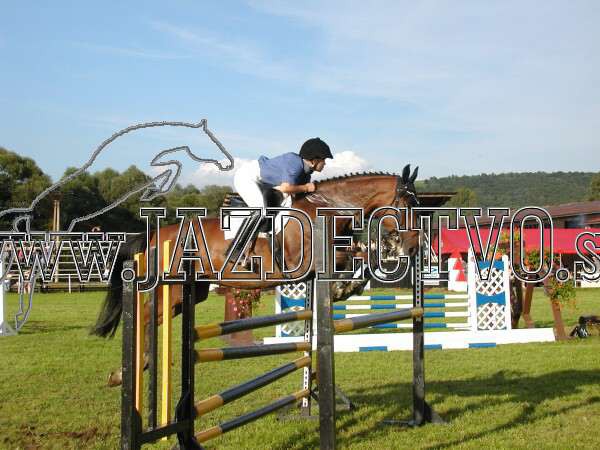 ZLATA PODKOVA XXV. STROPKOV