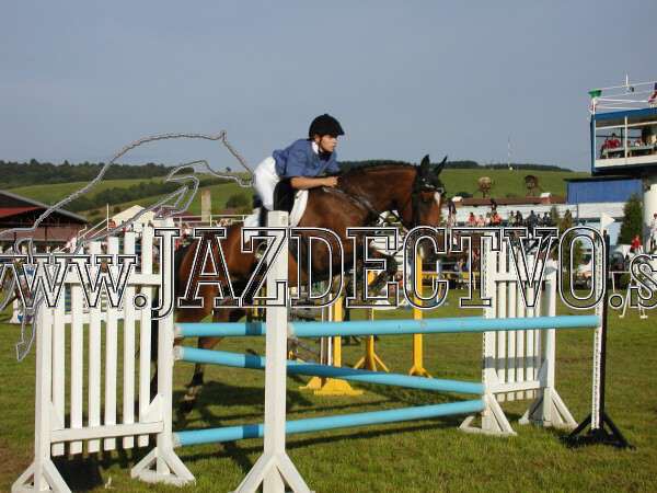 ZLATA PODKOVA XXV. STROPKOV