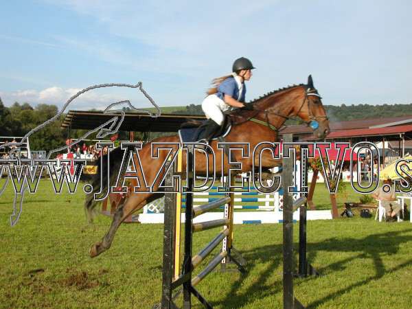 ZLATA PODKOVA XXV. STROPKOV