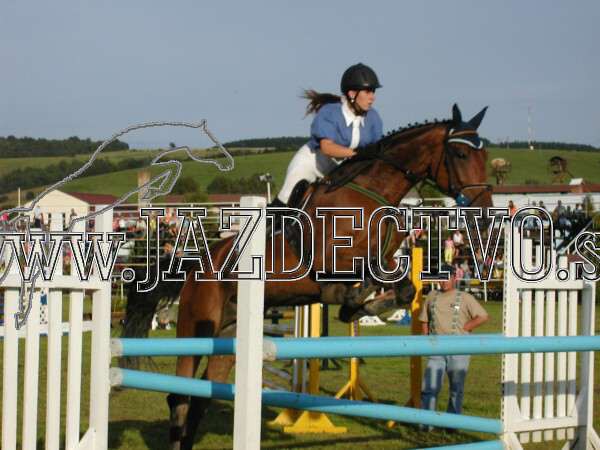 ZLATA PODKOVA XXV. STROPKOV