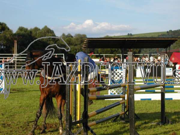 ZLATA PODKOVA XXV. STROPKOV