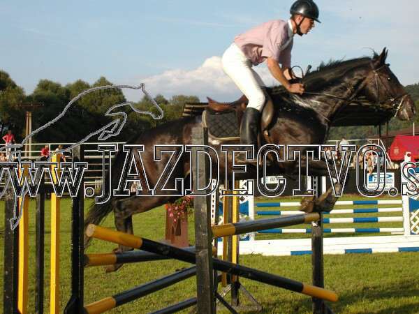 ZLATA PODKOVA XXV. STROPKOV