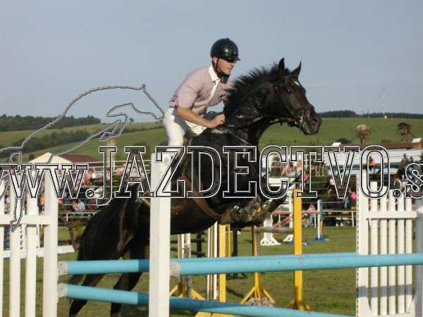 ZLATA PODKOVA XXV. STROPKOV