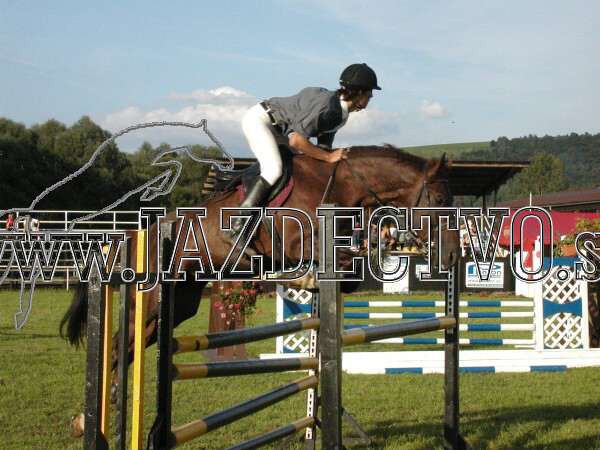 ZLATA PODKOVA XXV. STROPKOV