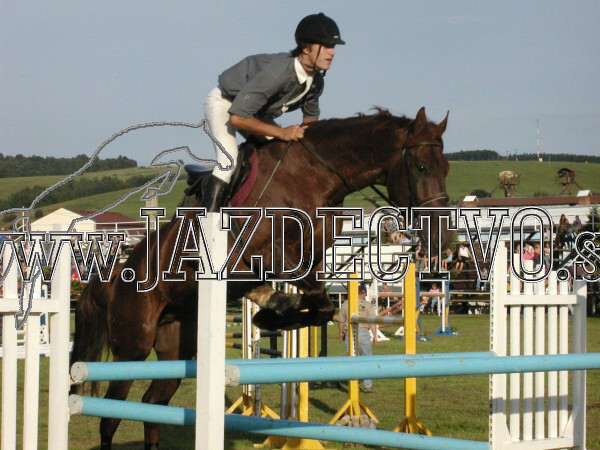 ZLATA PODKOVA XXV. STROPKOV