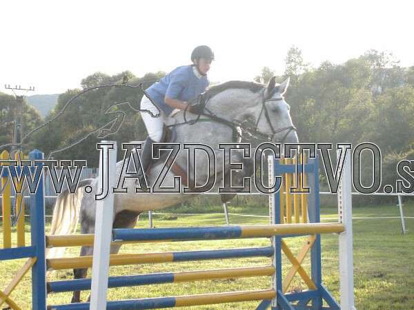 ZLATA PODKOVA XXV. STROPKOV