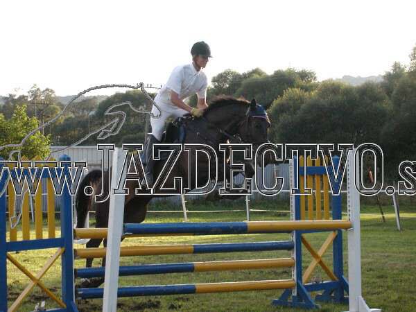 ZLATA PODKOVA XXV. STROPKOV