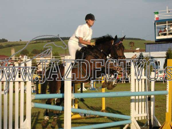 ZLATA PODKOVA XXV. STROPKOV