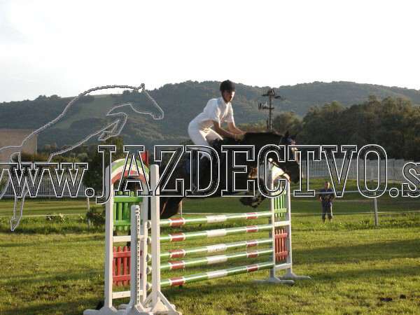 ZLATA PODKOVA XXV. STROPKOV