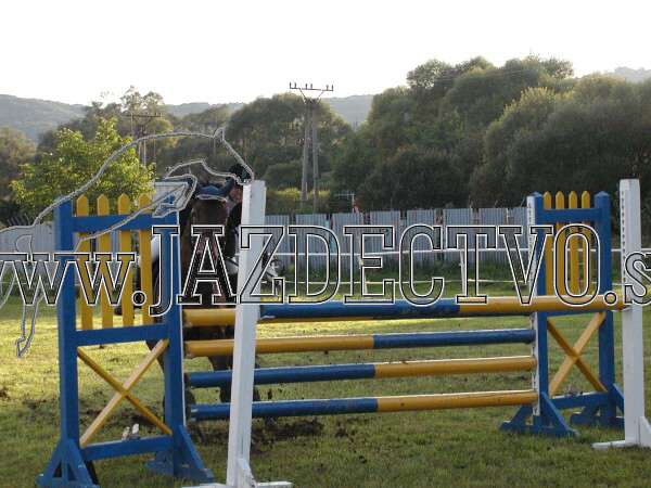 ZLATA PODKOVA XXV. STROPKOV