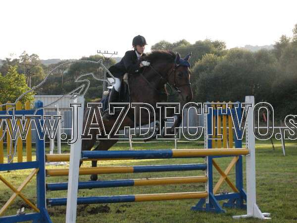 ZLATA PODKOVA XXV. STROPKOV