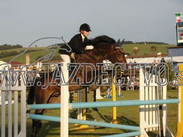 ZLATA PODKOVA XXV. STROPKOV