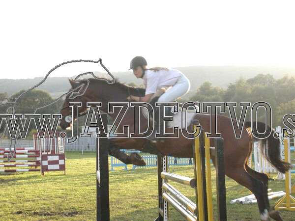 ZLATA PODKOVA XXV. STROPKOV