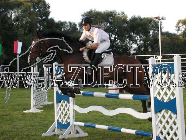 ZLATA PODKOVA XXV. STROPKOV