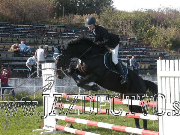 Koice 2005