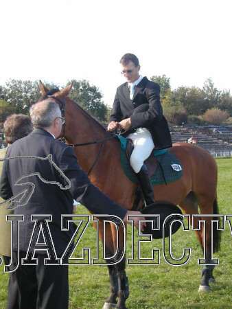 Koice 2005