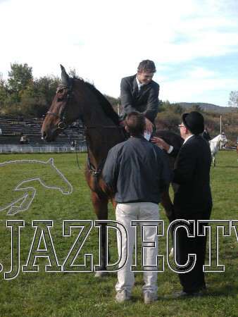 Koice 2005