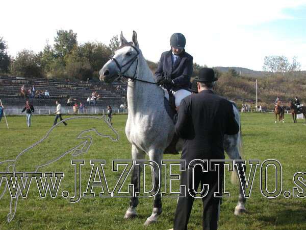 Koice 2005