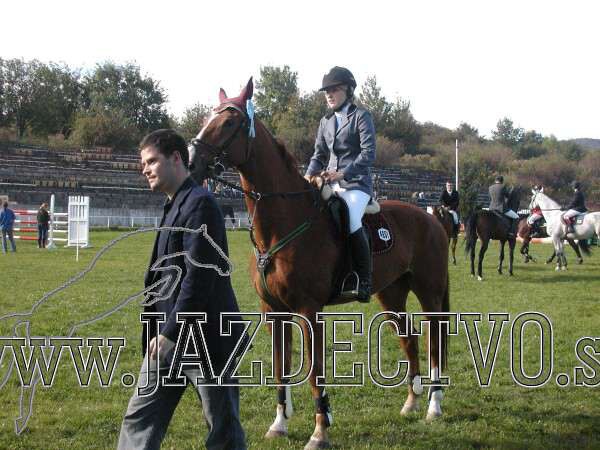 Koice 2005