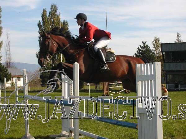 Koice 2005