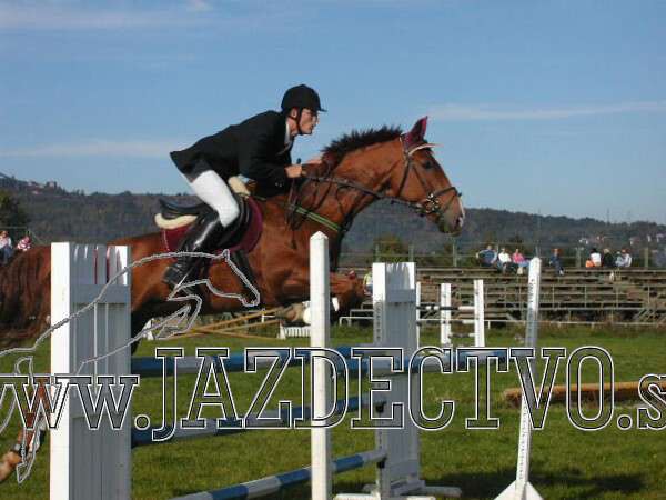 Koice 2005