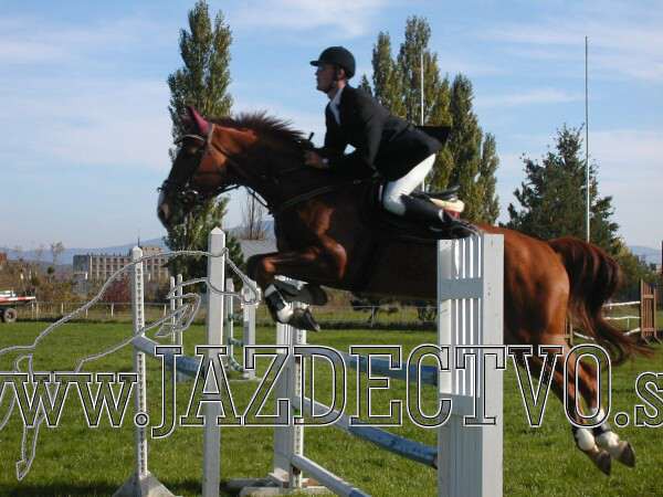 Koice 2005
