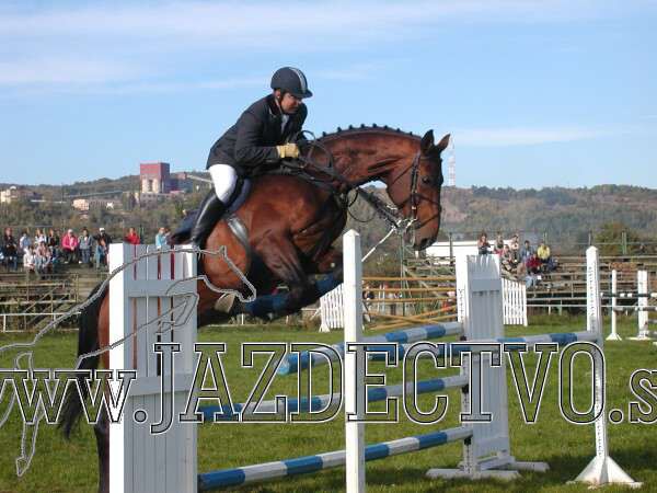 Koice 2005
