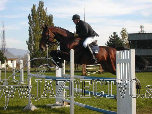 Koice 2005