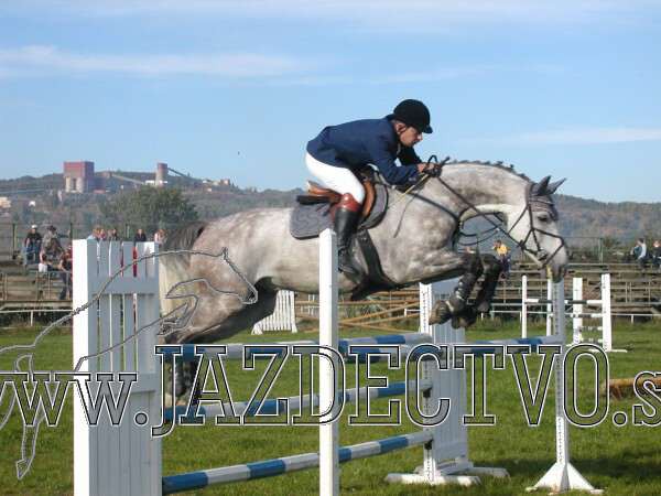 Koice 2005