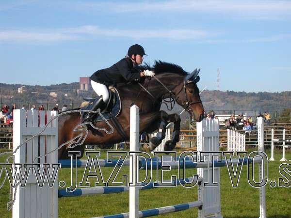 Koice 2005