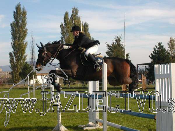Koice 2005