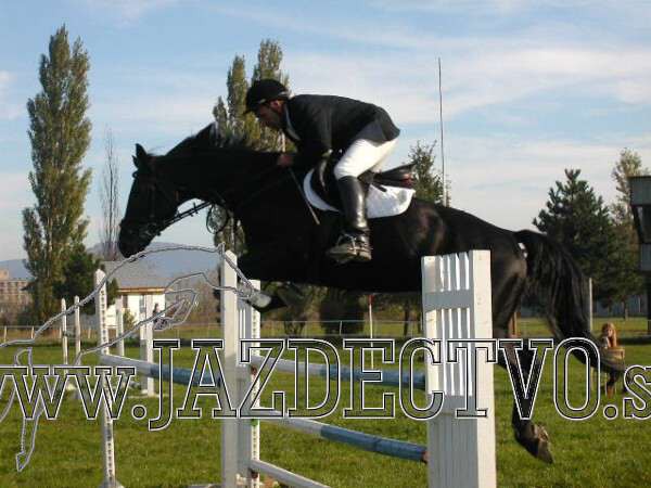 Koice 2005