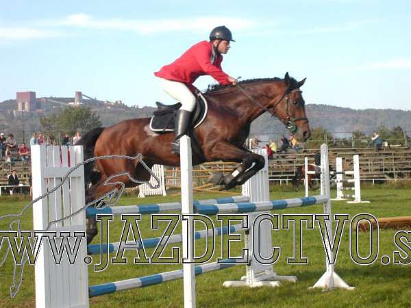 Koice 2005