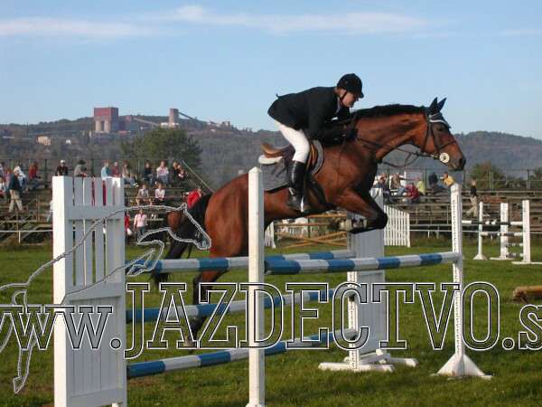 Koice 2005