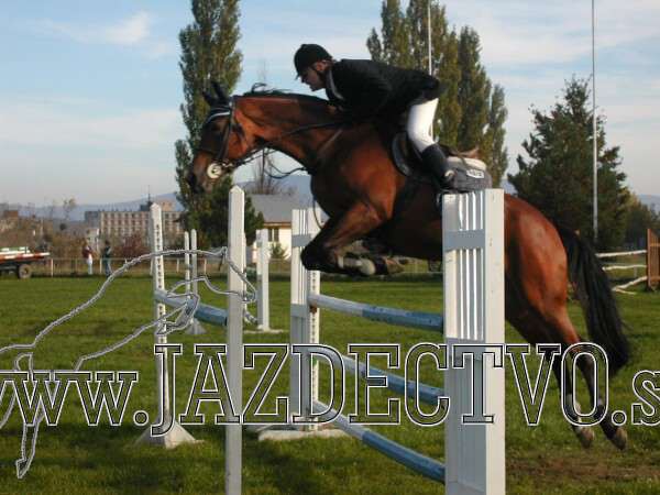 Koice 2005