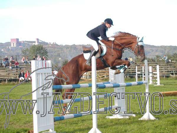 Koice 2005