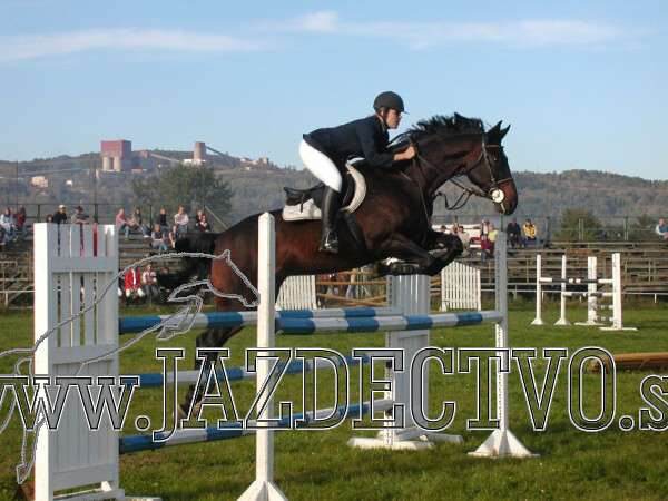 Koice 2005