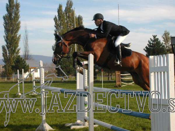 Koice 2005
