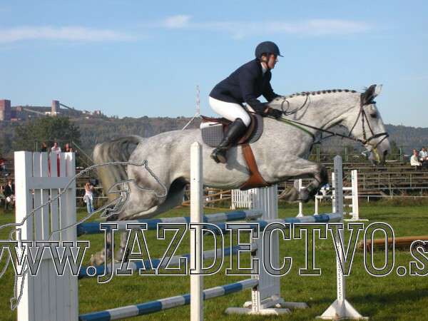 Koice 2005