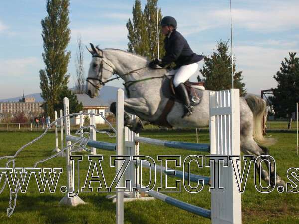 Koice 2005