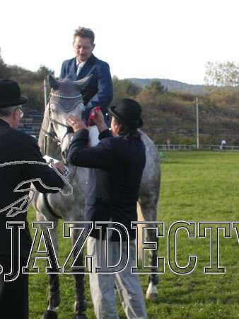 Koice 2005